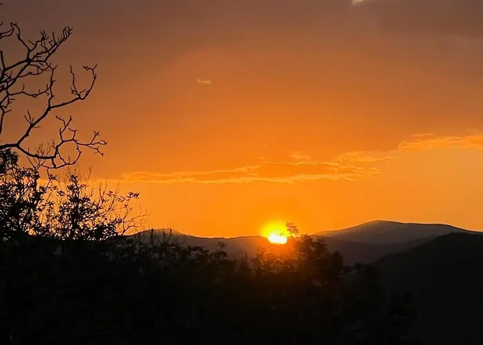 דירה Forest Sky -