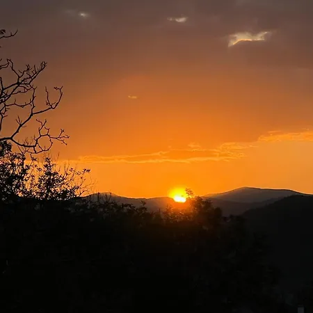 Apartament Forest Sky -