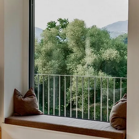 Daire Forest Sky - *